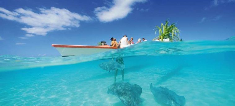 Hotel Manava Beach Resort And Spa Moorea Moorea: Foto 