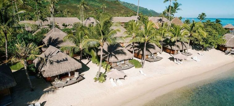 Hotel Manava Beach Resort And Spa Moorea Moorea: Foto 
