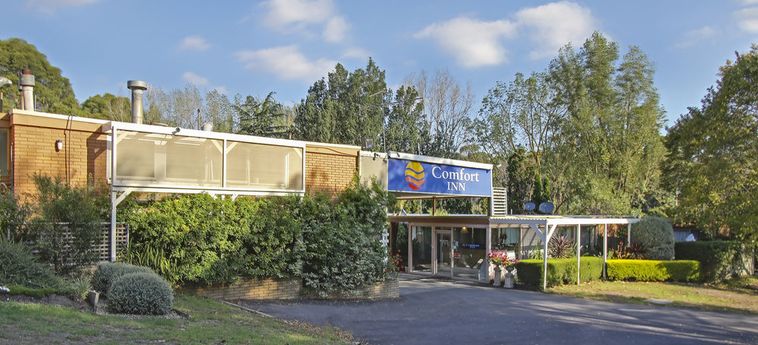 Hotel Comfort Inn Moe Morwell : Photo 