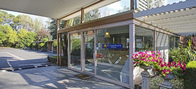 Hotel Comfort Inn Moe Morwell: Foto 