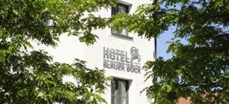 Hotel Blauer Bock:  MÜNCHEN