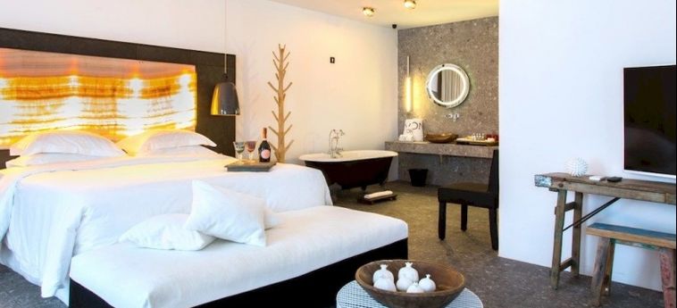 Hotel Myconian Avaton Resort:  MYKONOS