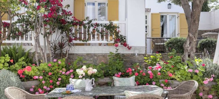 Despotiko Hotel Mykonos Mykonos: Foto 