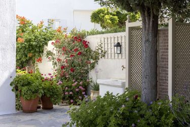 Despotiko Hotel Mykonos Mykonos: Photo 