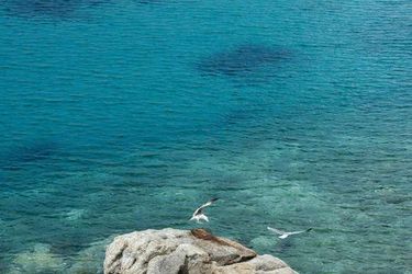 Nissaki Boutique Hotel:  MYKONOS