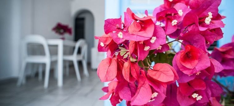 Hotel Adikri Villas And Studios Mykonos: Photo 