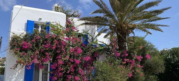 Anemos Studios &Amp; Apartments Mykonos: Foto 