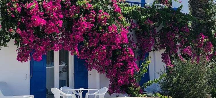 Anemos Studios &Amp; Apartments Mykonos: Foto 