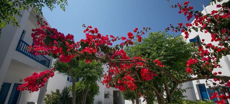 Hotel Akrogiali Mykonos: Foto 