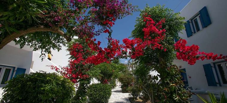 Hotel Akrogiali Mykonos: Foto 