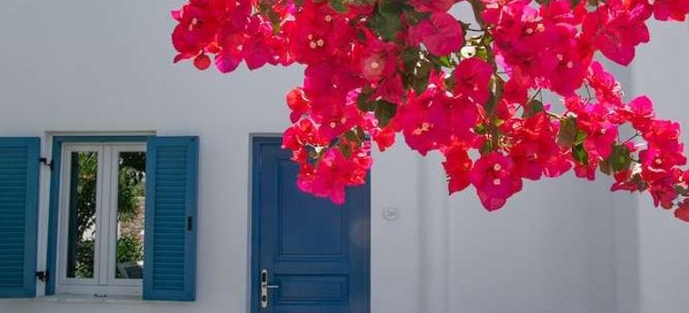 Hotel Akrogiali Mykonos : Photo 