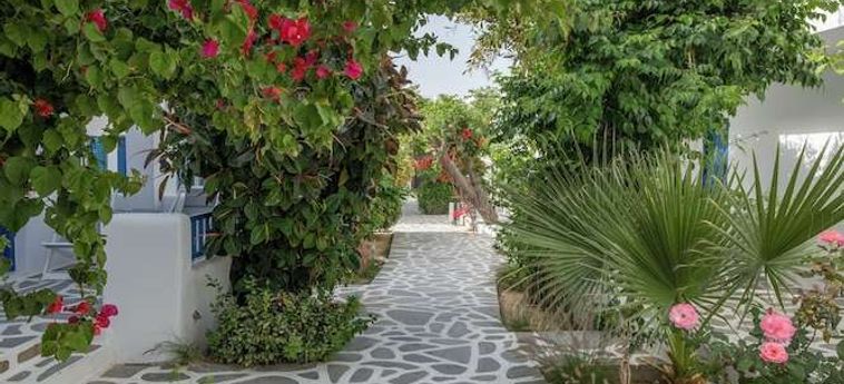 Hotel Akrogiali Mykonos : Photo 