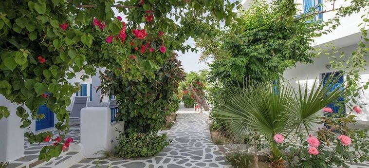 Hotel Akrogiali Mykonos : Photo 