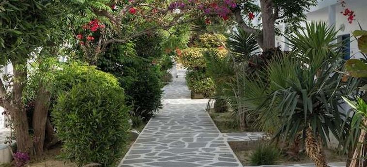 Hotel Akrogiali Mykonos : Photo 