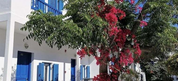 Hotel Akrogiali Mykonos : Photo 