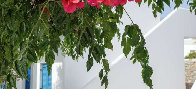 Hotel Akrogiali Mykonos: Foto 