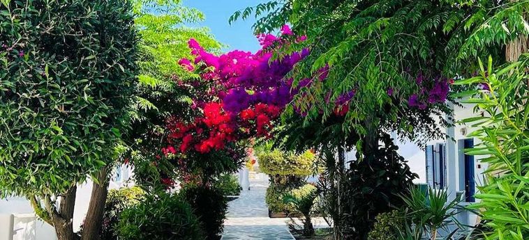 Hotel Akrogiali Mykonos: Foto 