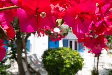 Hotel Akrogiali Mykonos: Photo 