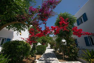 Hotel Akrogiali Mykonos: Photo 