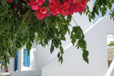 Hotel Akrogiali Mykonos: Photo 