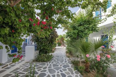 Hotel Akrogiali Mykonos: Photo 