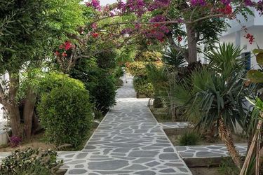 Hotel Akrogiali Mykonos: Photo 