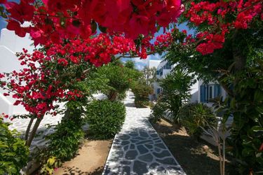 Hotel Akrogiali Mykonos: Photo 