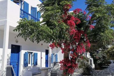 Hotel Akrogiali Mykonos: Photo 