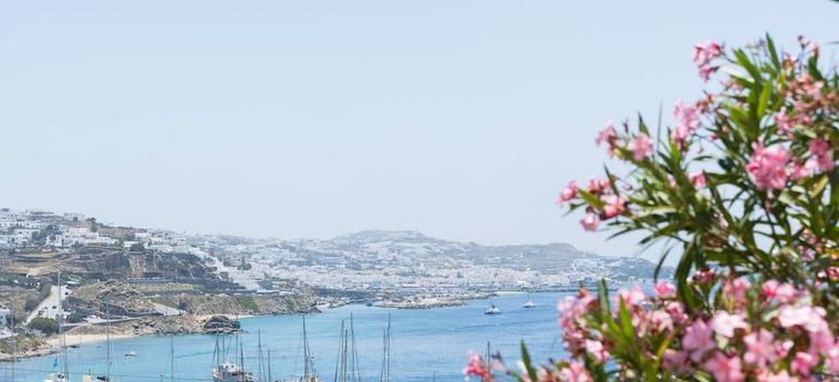 Rhenia Hotel &Amp; Bungalows Mykonos: Foto 
