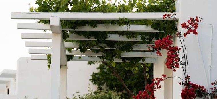 Rhenia Hotel &Amp; Bungalows Mykonos : Photo 