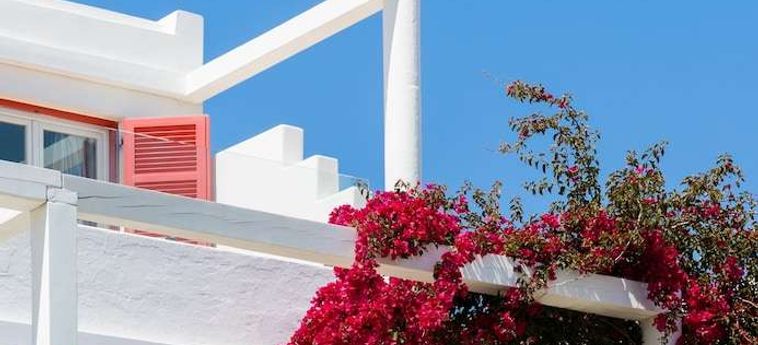 Rhenia Hotel &Amp; Bungalows Mykonos : Photo 