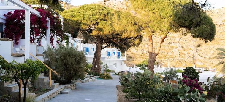 Rhenia Hotel &Amp; Bungalows Mykonos : Photo 