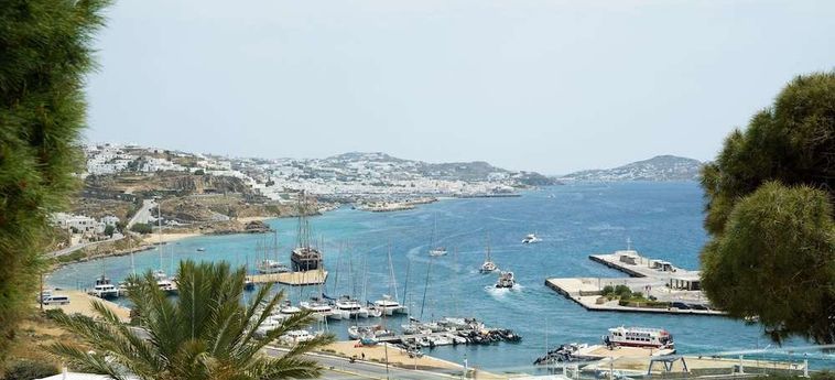 Rhenia Hotel &Amp; Bungalows Mykonos : Photo 