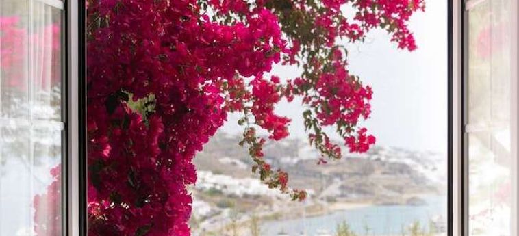 Rhenia Hotel &Amp; Bungalows Mykonos : Photo 