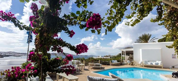 Rhenia Hotel &Amp; Bungalows Mykonos : Photo 
