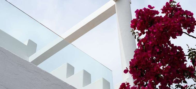 Rhenia Hotel &Amp; Bungalows Mykonos : Photo 
