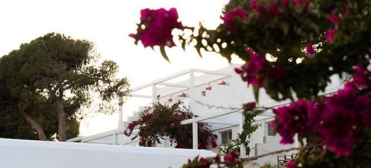 Rhenia Hotel &Amp; Bungalows Mykonos : Photo 