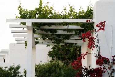 Rhenia Hotel &Amp; Bungalows Mykonos: Photo 