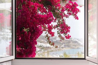 Rhenia Hotel &Amp; Bungalows Mykonos: Photo 