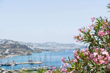 Rhenia Hotel &Amp; Bungalows Mykonos: Photo 