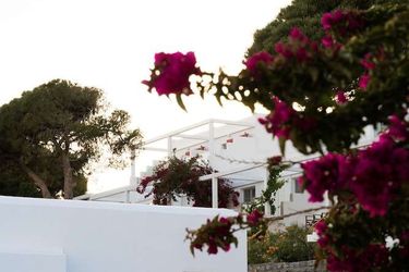 Rhenia Hotel &Amp; Bungalows Mykonos: Photo 
