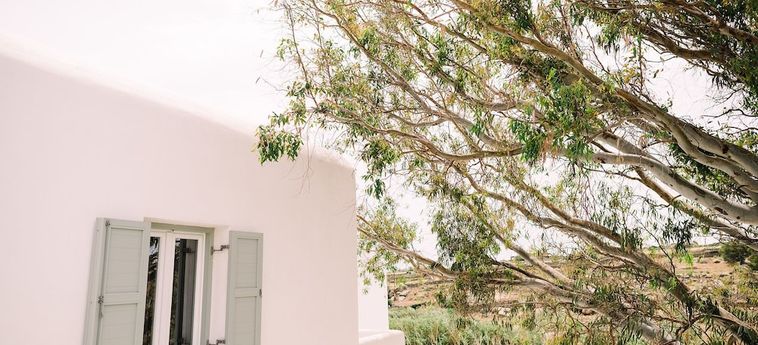 Hotel Abelos Mykonos Mykonos: Foto 