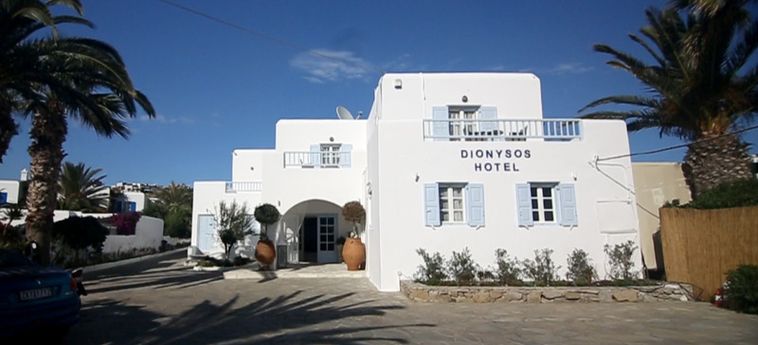 Dionysos Hotel Mykonos:  MYKONOS
