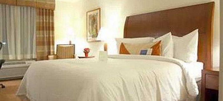 Hotel Hilton Garden Inn Myrtle Beach/coastal Grand Mall:  MYRTLE BEACH (SC)