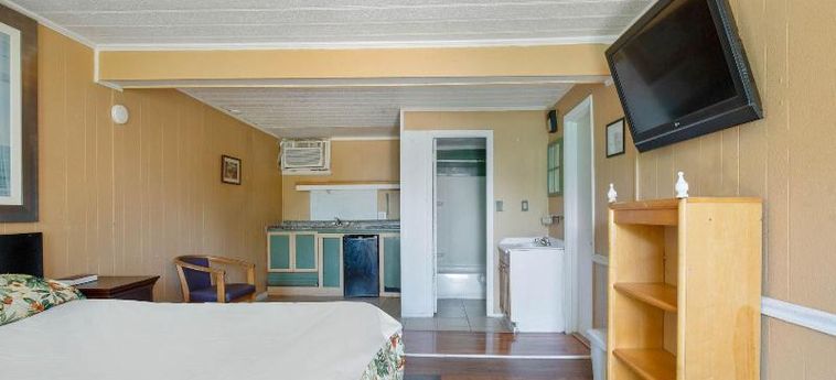 Hotel Crepe Myrtle By Oyo Myrtle Beach (Sc): Photo 