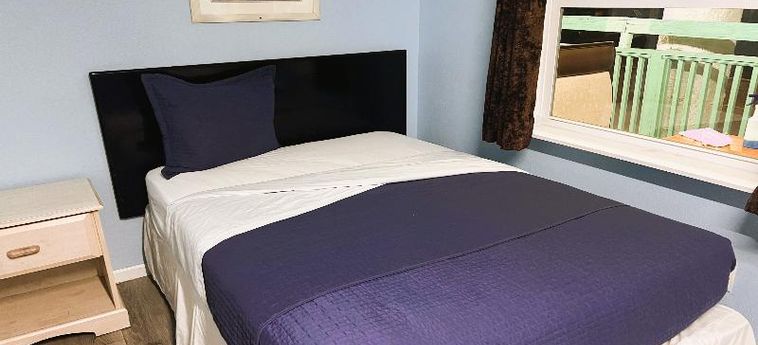 Hotel Crepe Myrtle By Oyo Myrtle Beach (Sc): Photo 