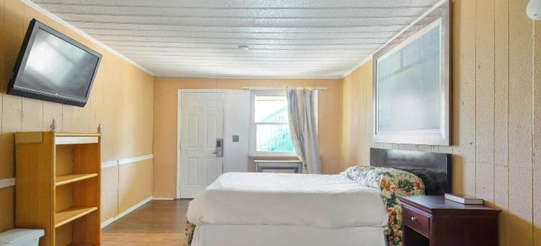 Hotel Crepe Myrtle By Oyo Myrtle Beach (Sc): Photo 