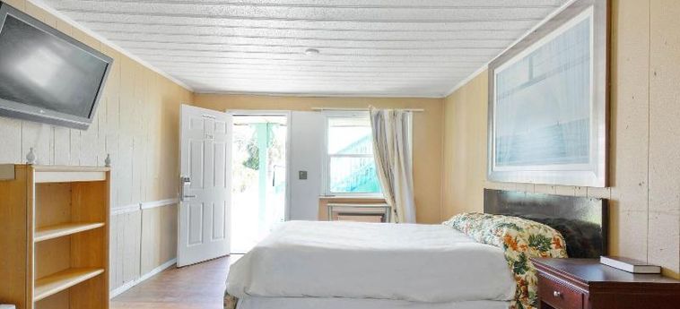Hotel Crepe Myrtle By Oyo Myrtle Beach (Sc): Photo 