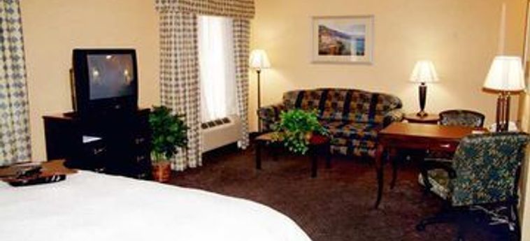 Hotel Hampton Inn Suites Nacogdoches:  NACOGDOCHES (TX)