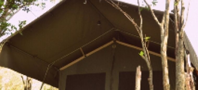 Hotel Mara Eden Safari Camp:  NAIROBI